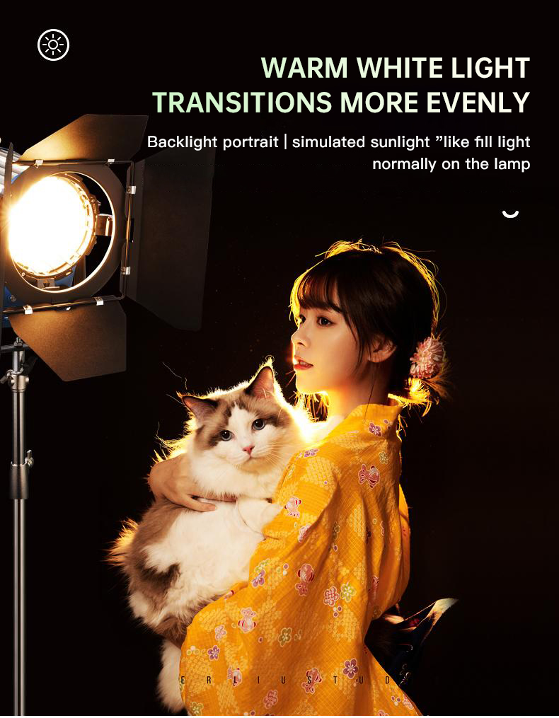 Beiyang 2000W Spotlight Hair L - Photography Lighting Portrait ulasan dan harga
