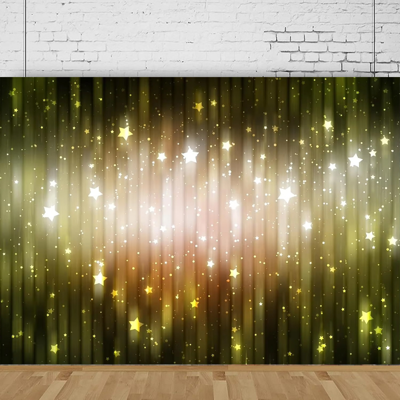 Shiny Glitter Photography Back - Photography Lighting Portrait ulasan dan harga